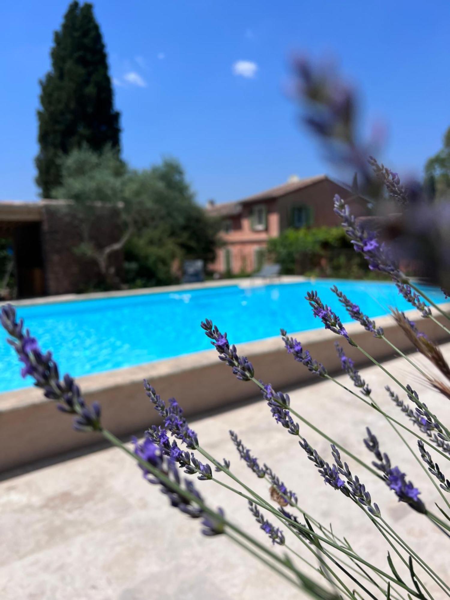 Les Hauts De Diane, Cuers Var Ngoại thất bức ảnh